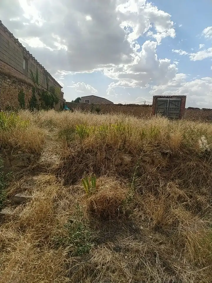 Terreni e lotti in vendita a Calamocha, imagen 4