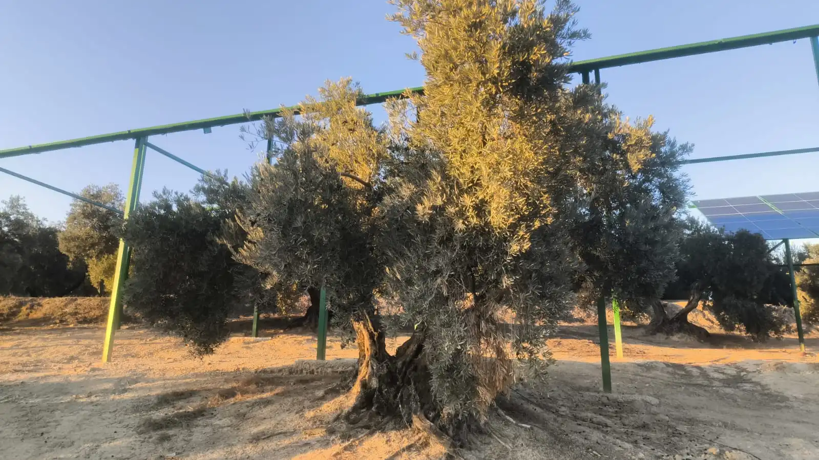 Terreni e lotti in vendita a Jabalquinto, imagen 5
