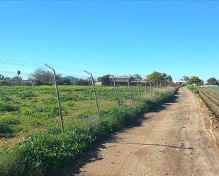 Residencial en venda a Sus-Dmn-04 Aeropuerto Vij, Valdezorras - El Gordillo