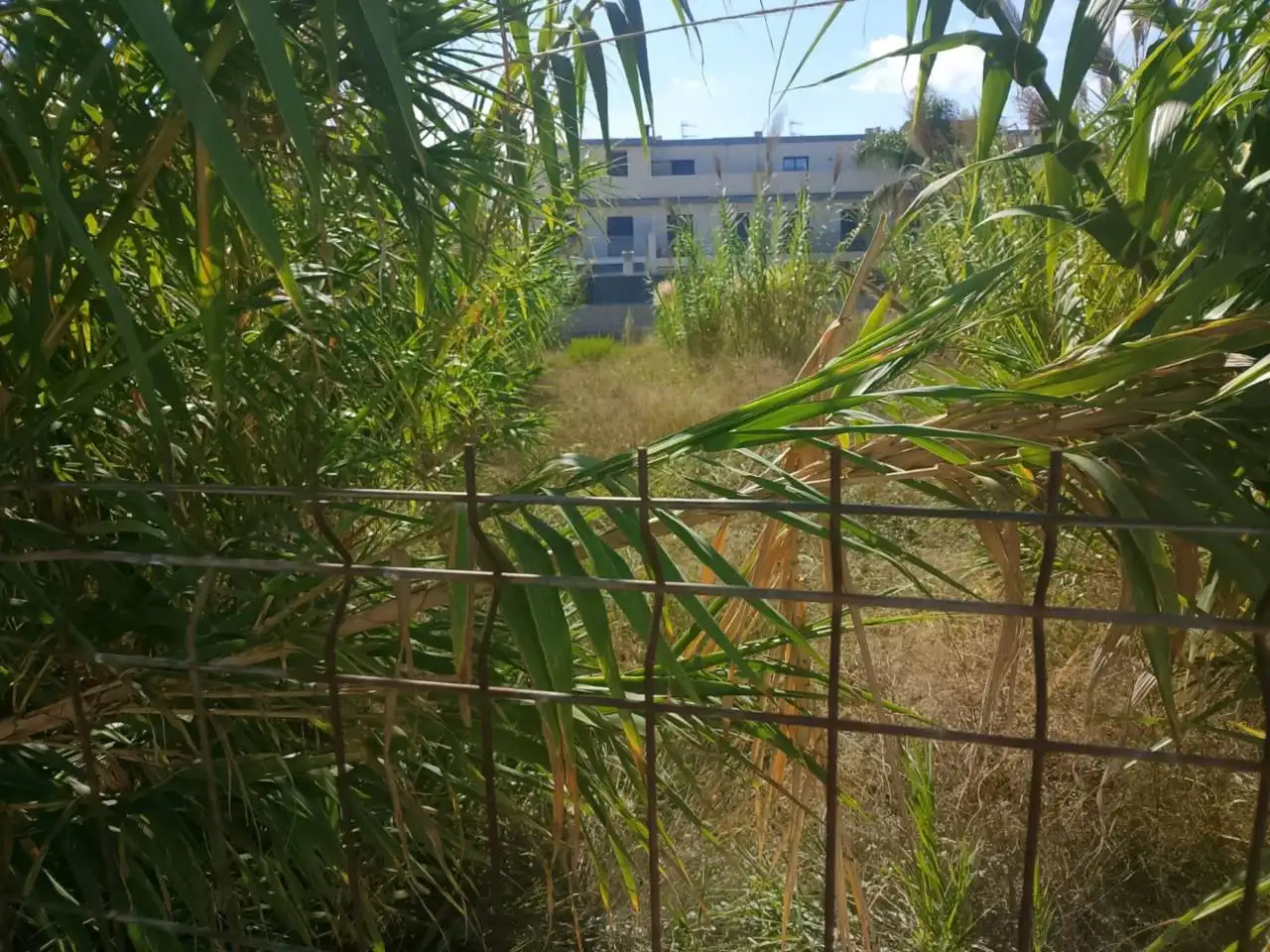 Terrain résidentiel à vendre à Calle Bomba, imagen 7