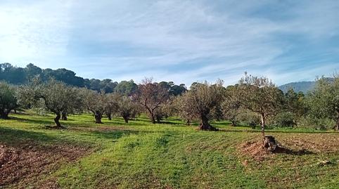 Photo 3 of Land for sale in Tolox, Málaga