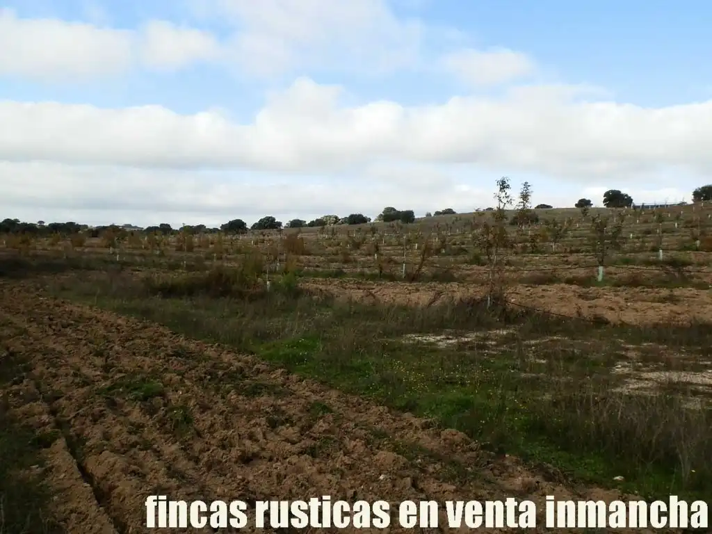 Terreni e lotti in vendita a Torrijos, imagen 19