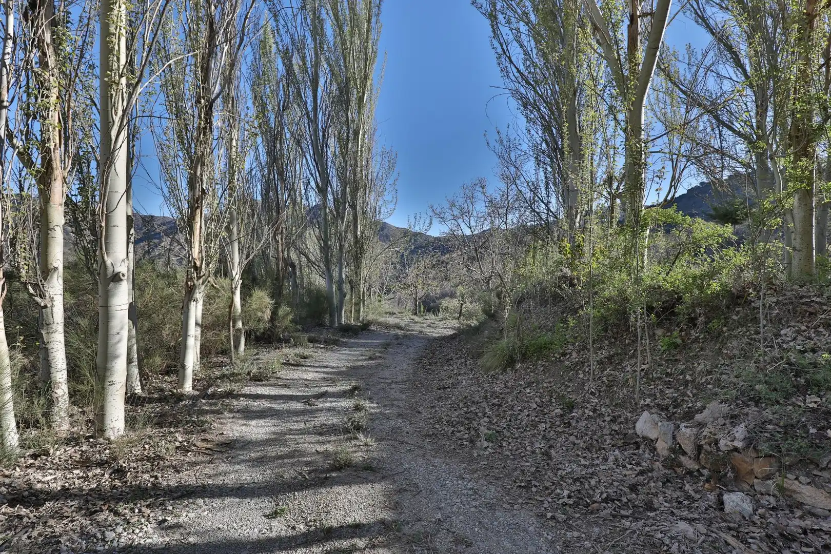 Casa rústica en venda a Dúrcal, imagen 32