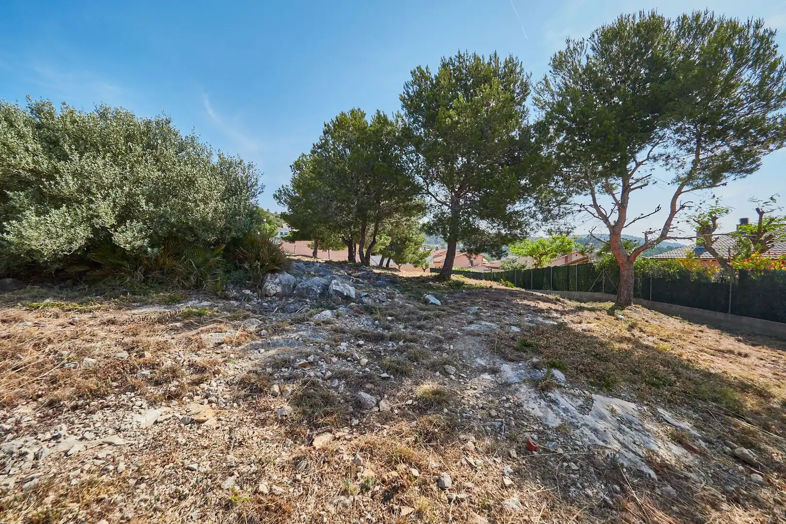 Terreny residencial en venda a Roda de Barà, imagen 10