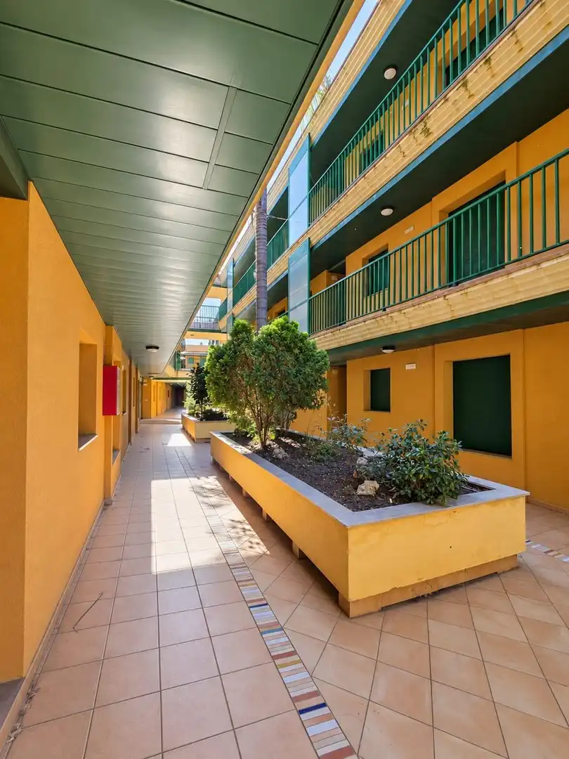 Appartement compact avec jardin à vendre à Calle EUCALIPTUS, imagen 40