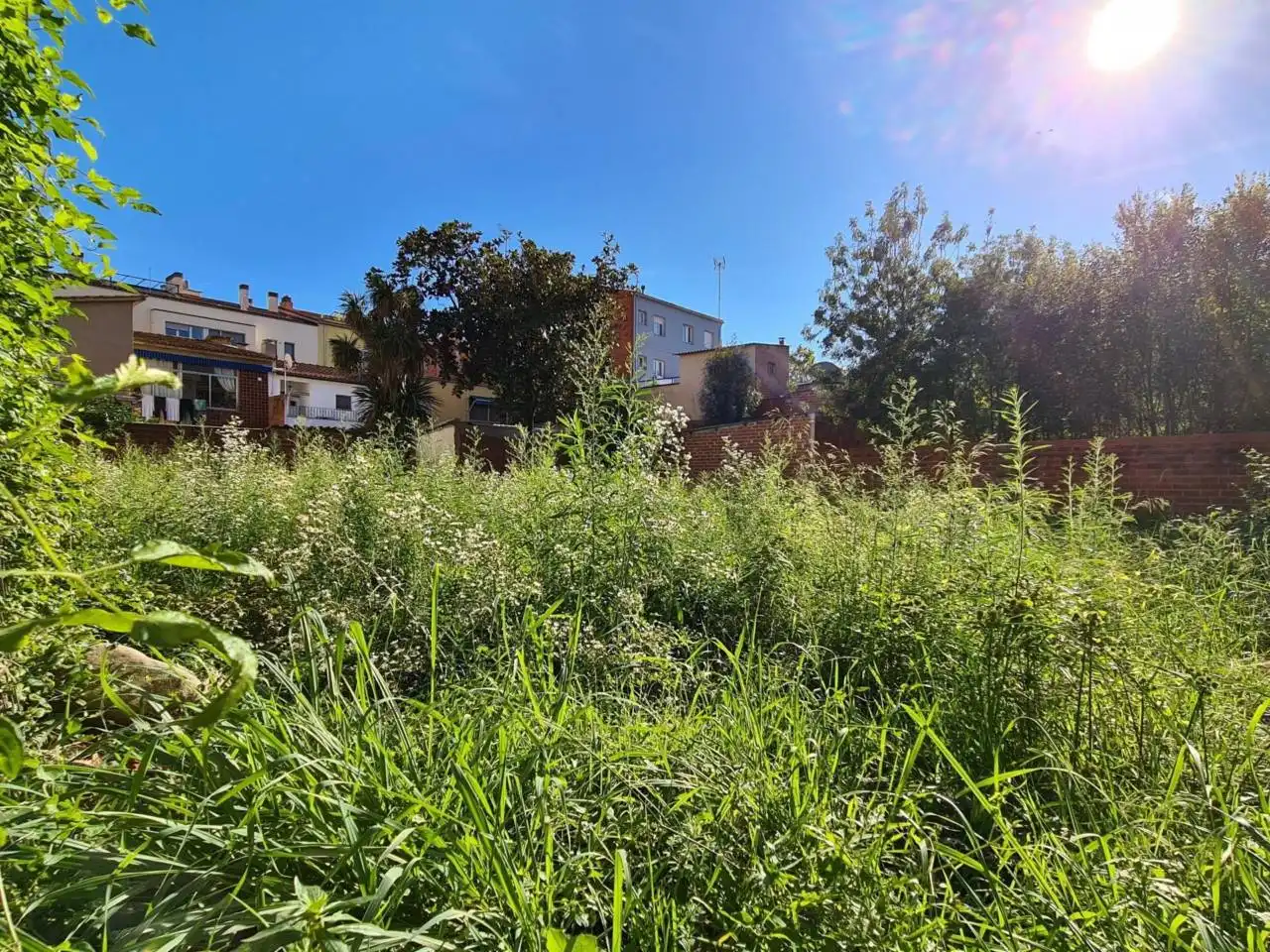 Wohnbaugrundstück zum Verkauf in Calle Pep Ventura, imagen 13