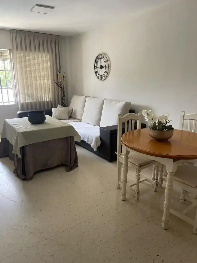 Sala de estar de Piso de alquiler en Torremuelle