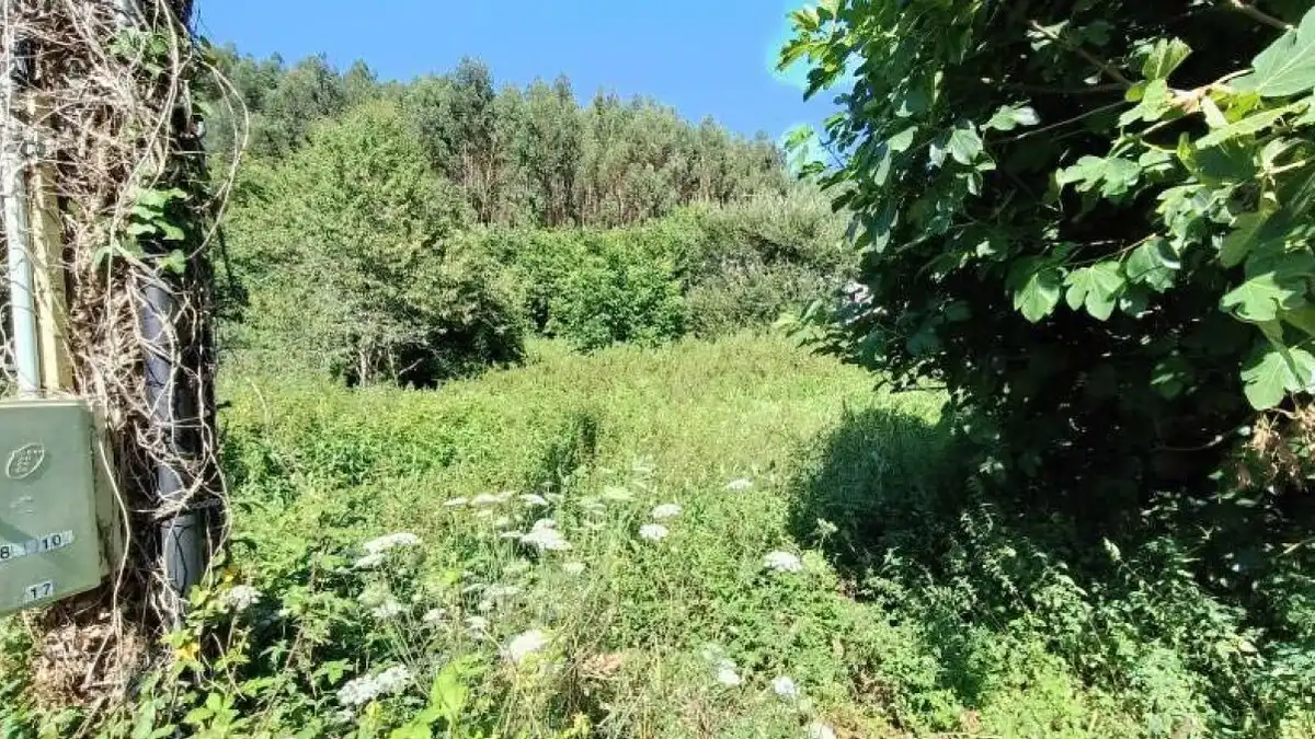 Residential for sale in Zalla 