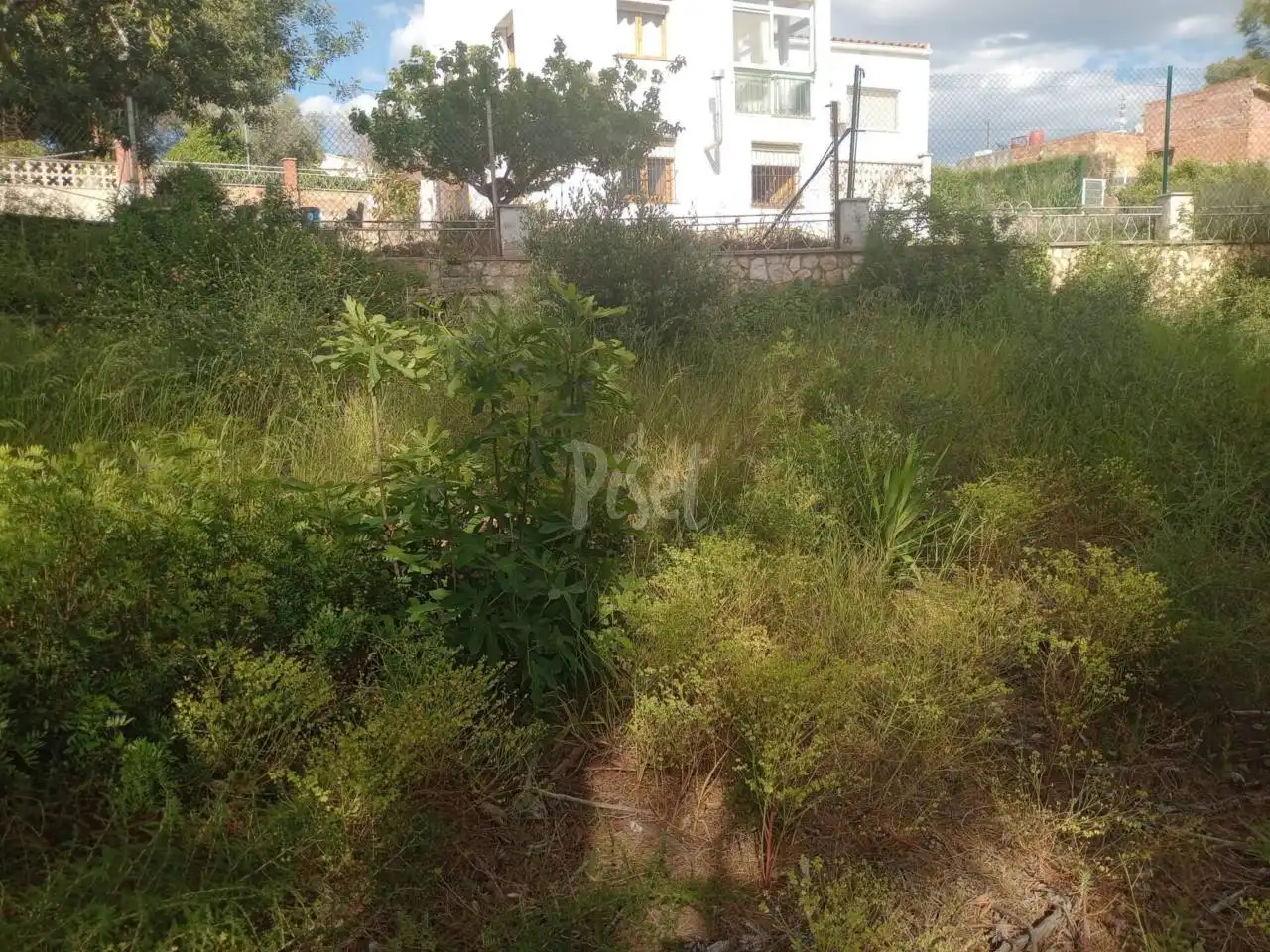 Terreny rústic en venda a El Catllar, imagen 3