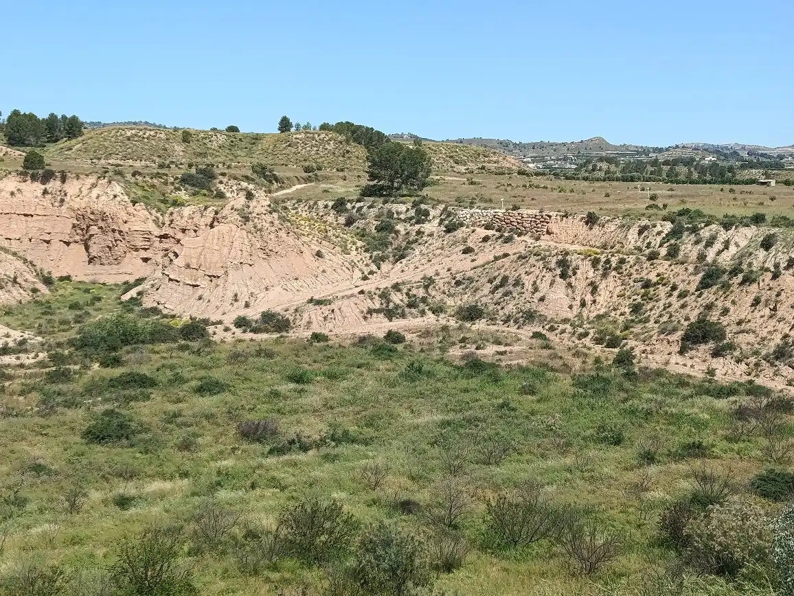 Lands and plots for sale in Mula, imagen 24