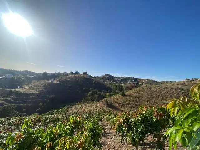 Terreny rústic en venda a Carretera Vélez-Málaga 1D, imagen 4
