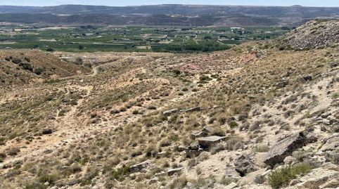 Photo 3 of Residential for sale in Monreal, Parc. 236. Pg.3, -1, Fraga, Huesca