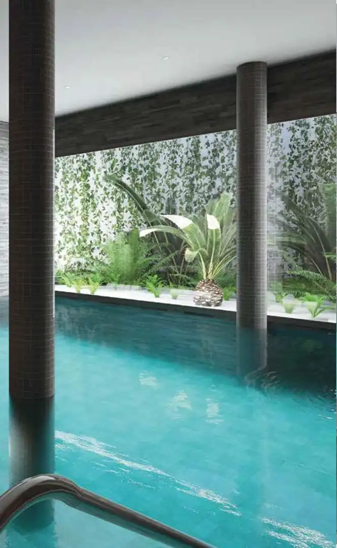 Swimming pool of Commercial properties for sale in Estepona
