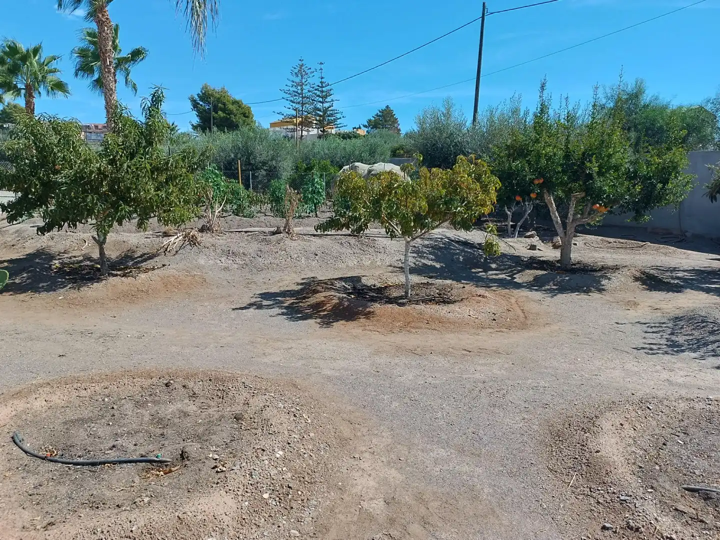Xalet amb terrassa en venda a Tébar - Los Arejos, imagen 57