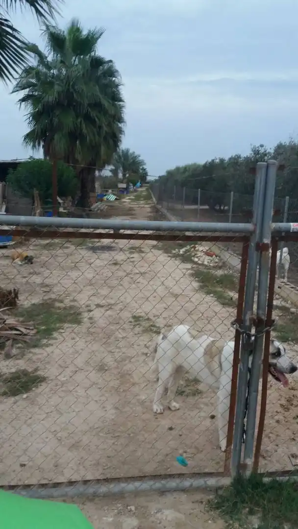 Terreni e lotti in vendita a Partida Santa Agueda, imagen 19