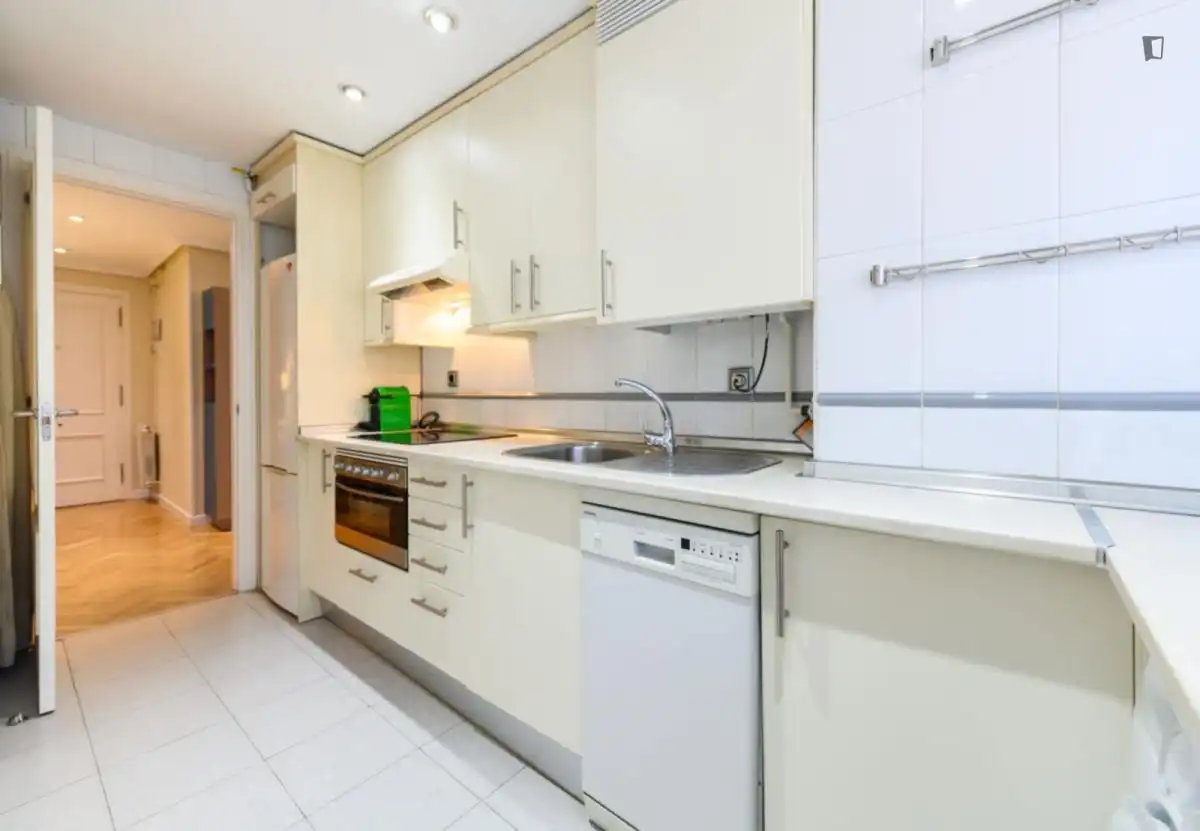Kitchen of Apartments for rent in Madrid  with Air Conditioner, Heating and Furnished
