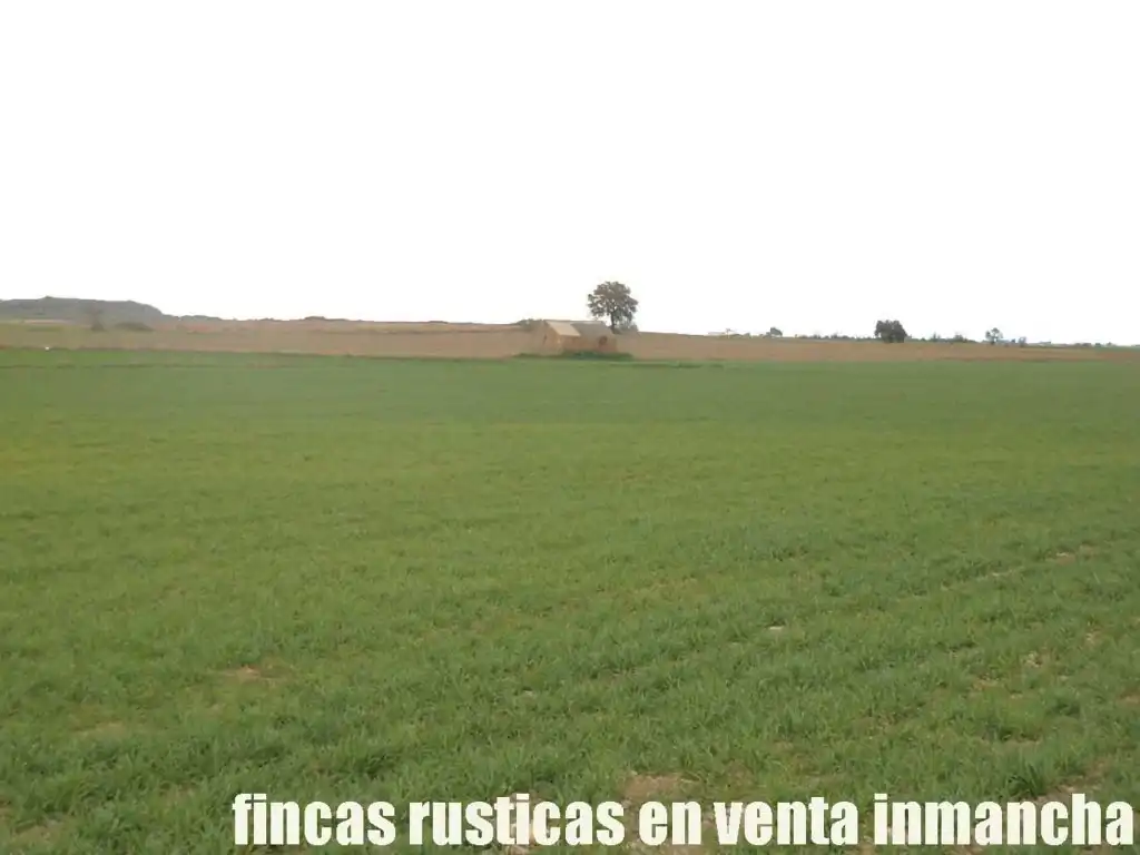 Terreno rústico en venta en Daimiel, imagen 8