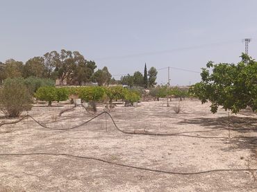 Terreno residenziale in vendita a Altorreal - El Chorrico