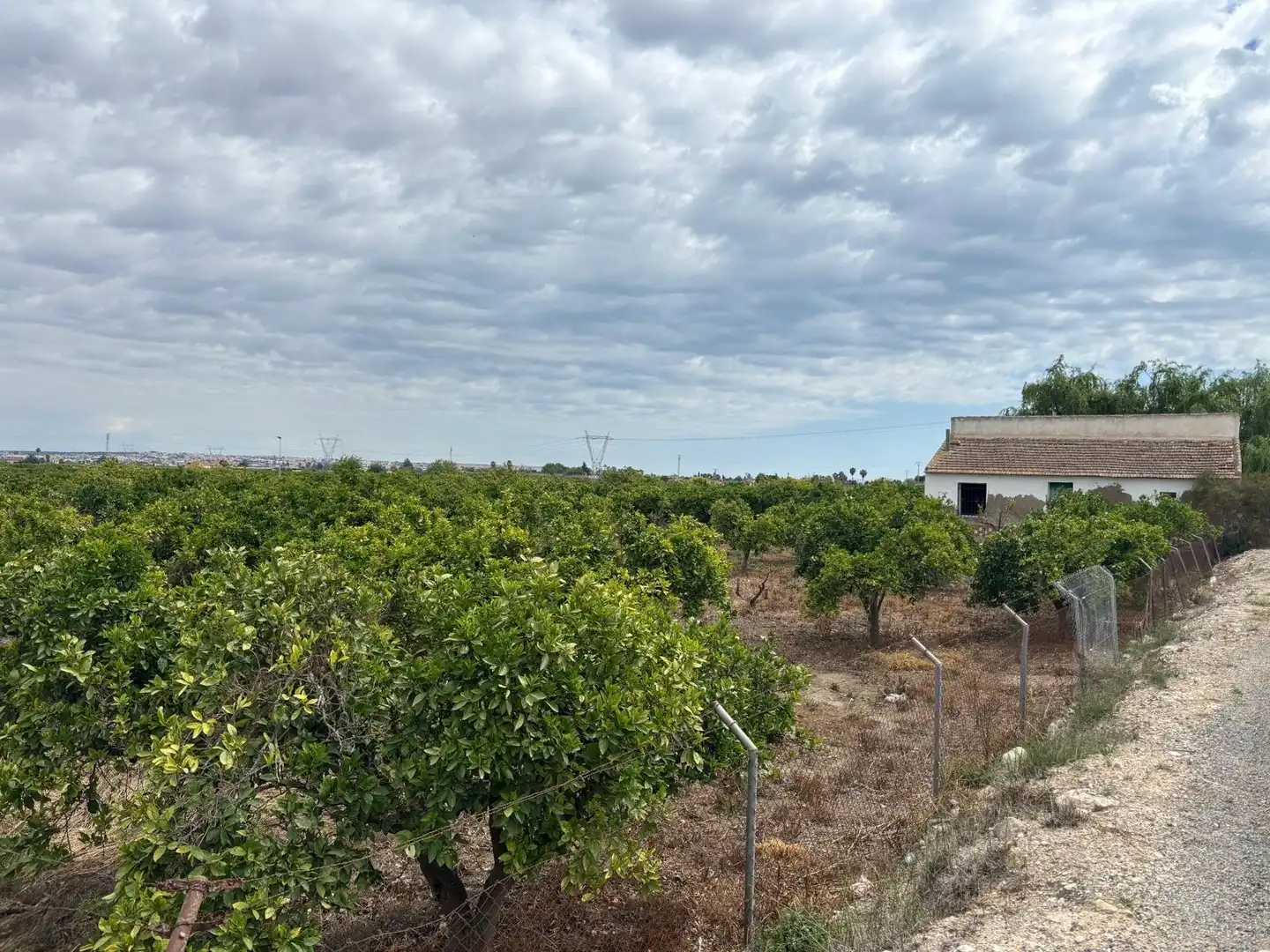 Finca rústica en venta en Guardamar del Segura