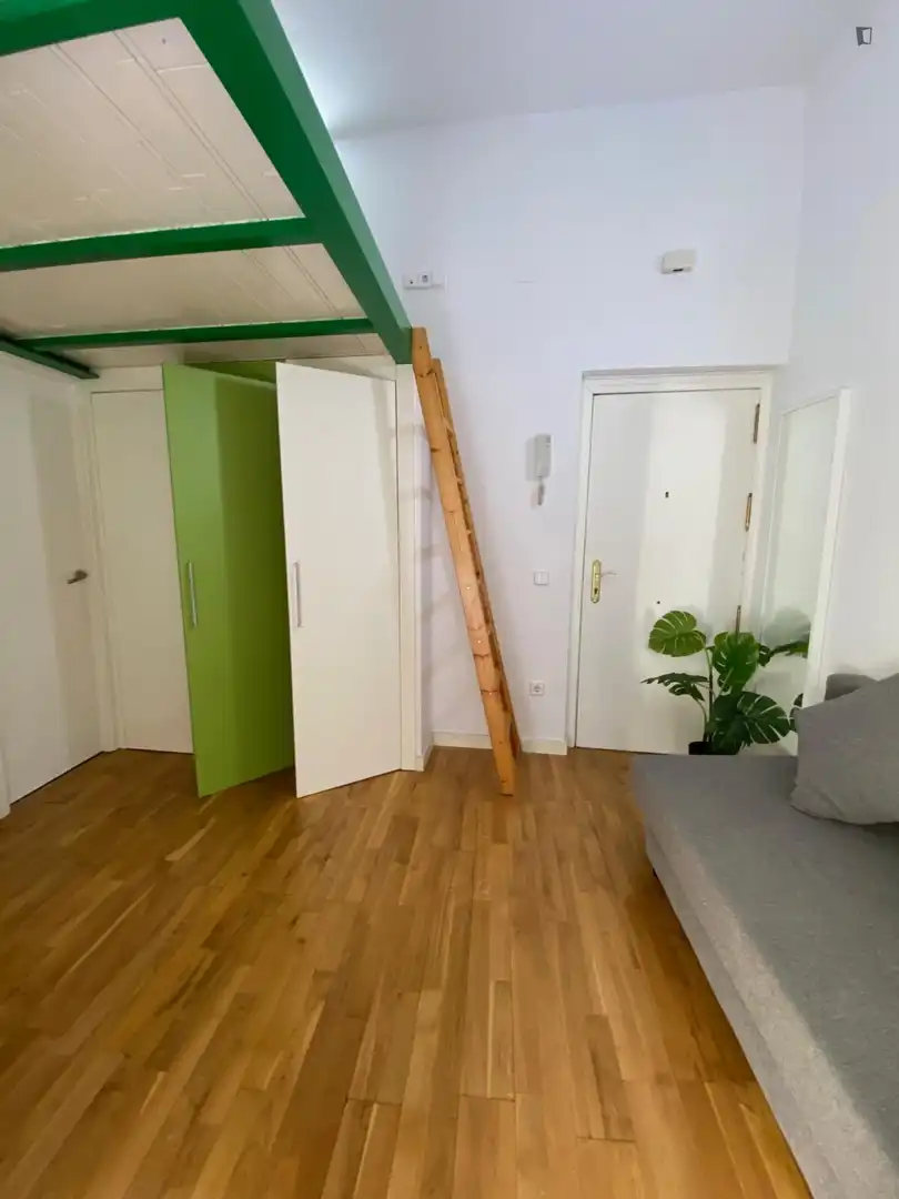 Estudio en alquiler en Centro, imagen 12