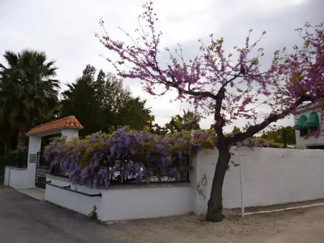 Jardí de Casa o xalet en venda en Tortosa amb Aire condicionat, Calefacció i Jardí privat