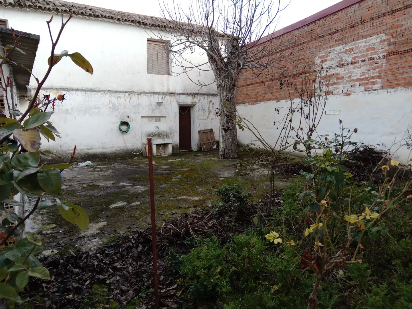 Jardín de Casa o chalet en venta en Itero del Castillo con Jardín privado y Trastero