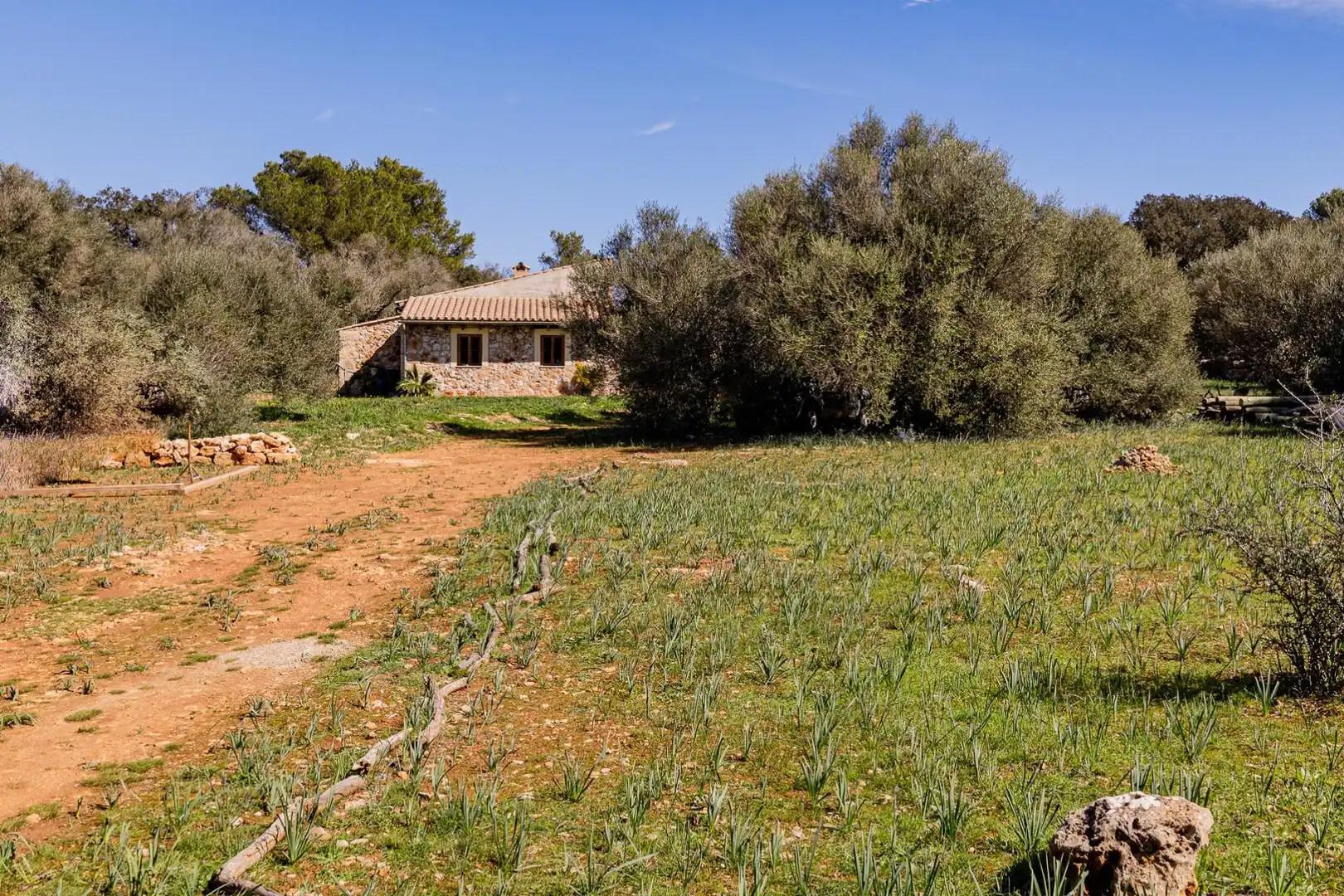 Casa rústica en venda a Sencelles, imagen 17