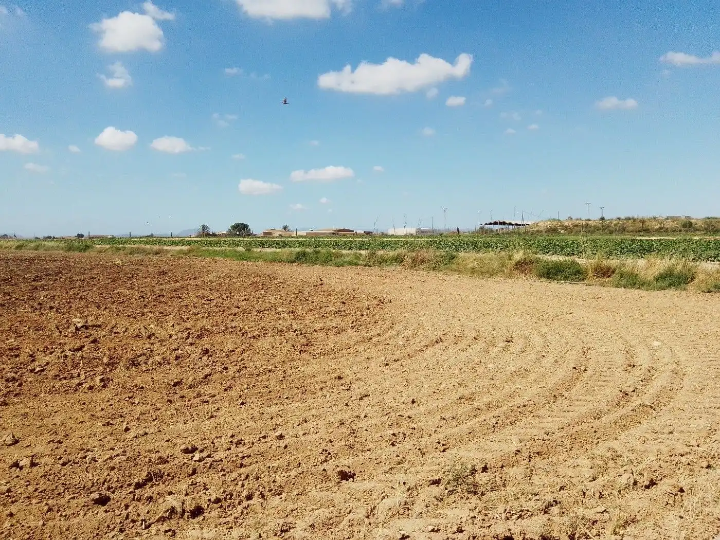 Casa o xalet en venda en Torre-Pacheco amb Terrassa, Traster i Piscina