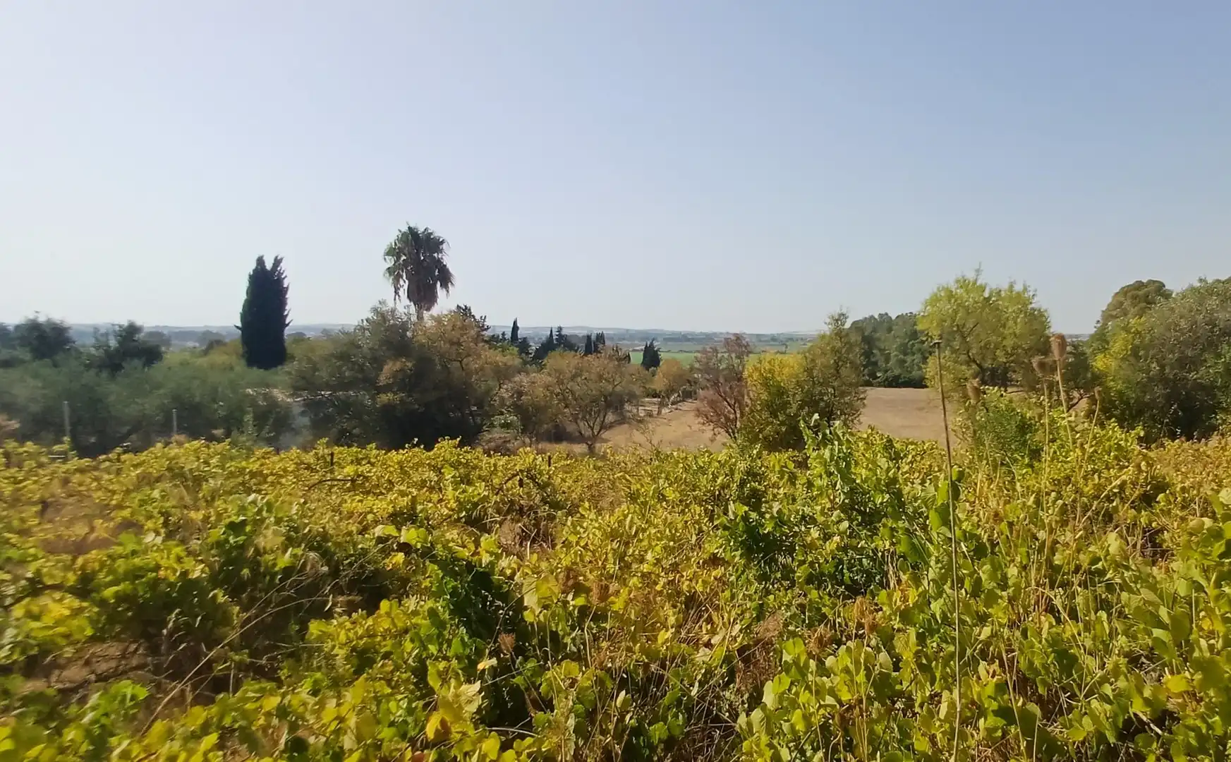 Casa rústica en venda a Los Garciagos, Polígono 119, Parcela 100, imagen 15