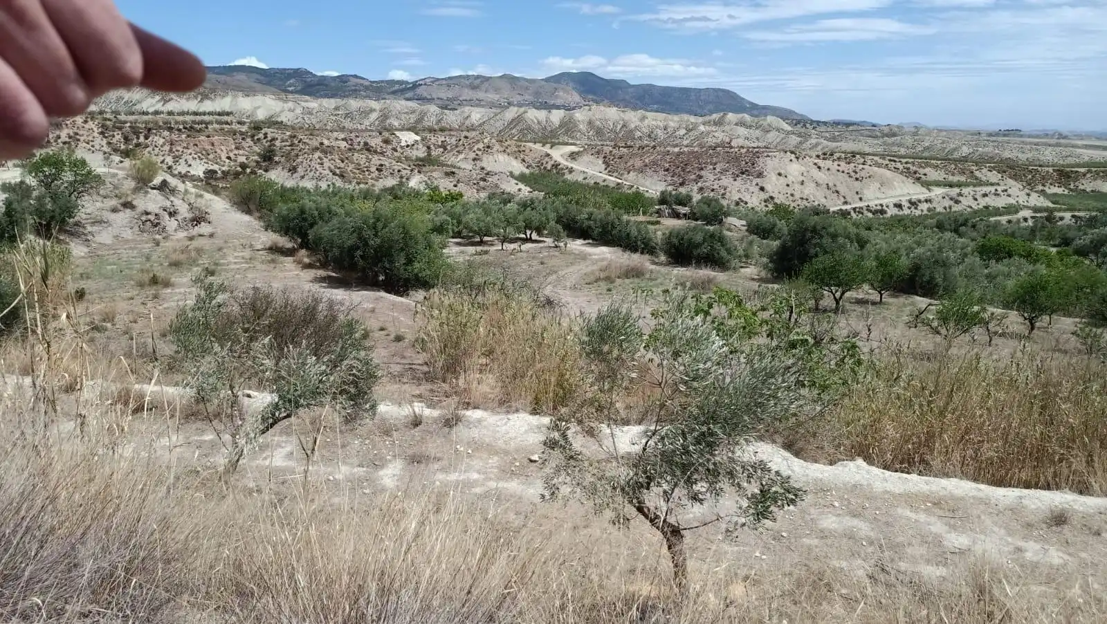 Terreny residencial en venda a Tíjola, imagen 6