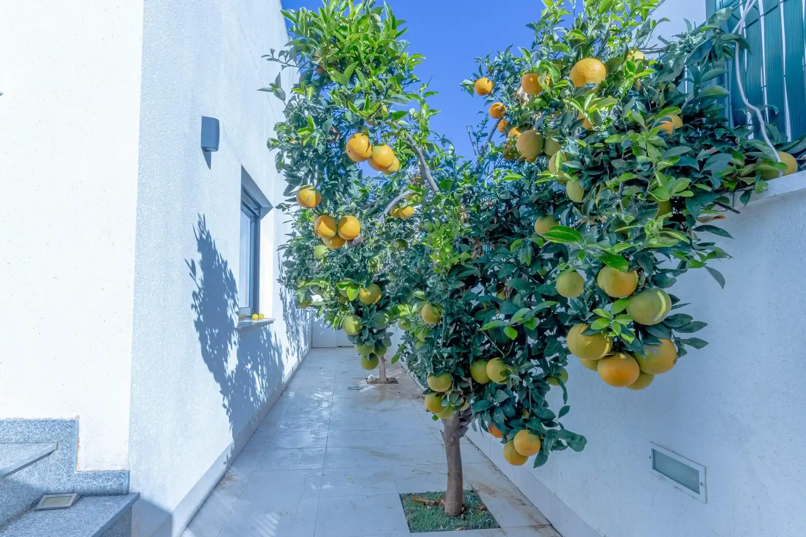 Terrace of Houses for rent in San Javier  with Air Conditioner, Heating and Private garden