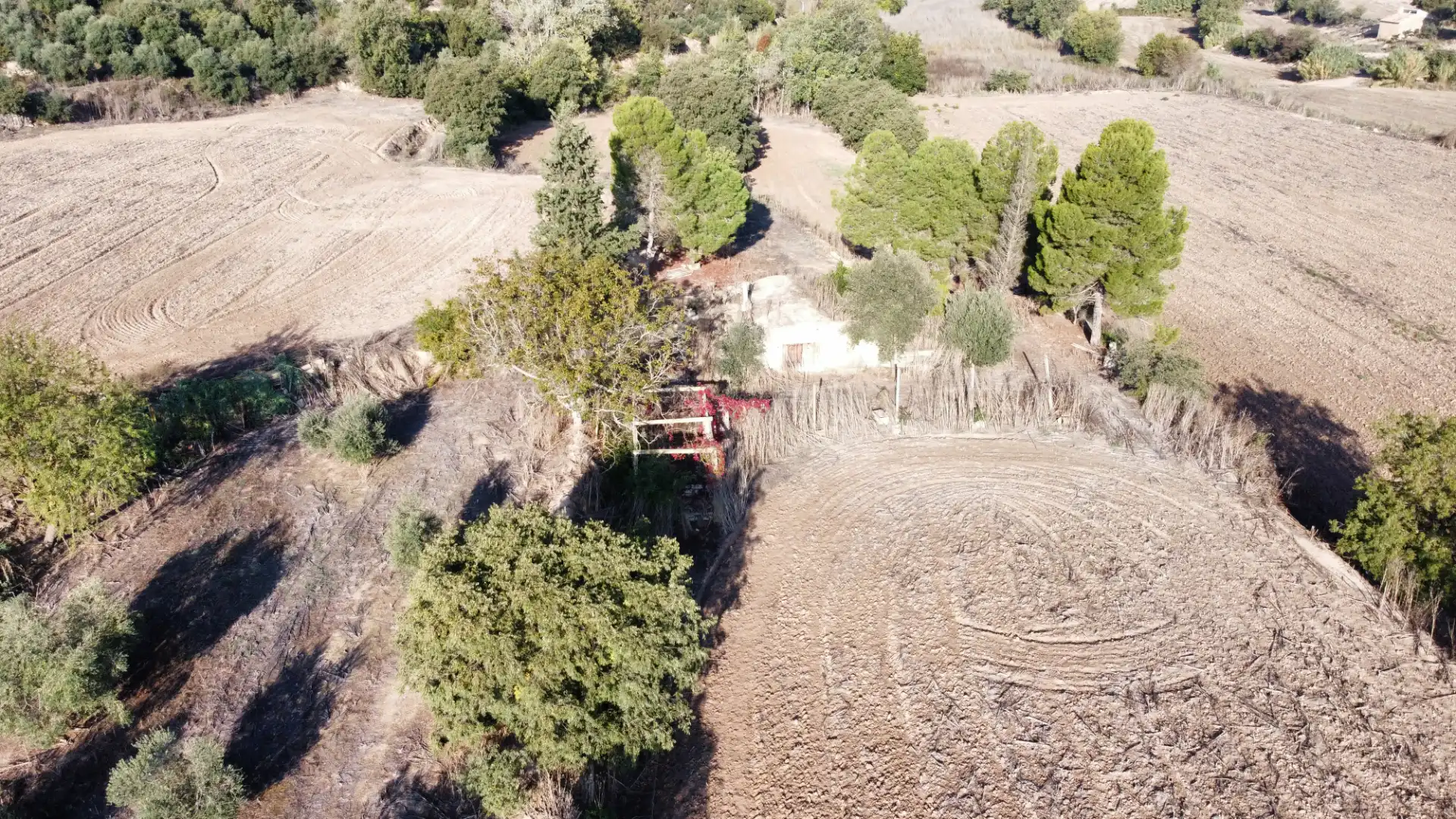 Rural land for sale in Arbeca, imagen 25