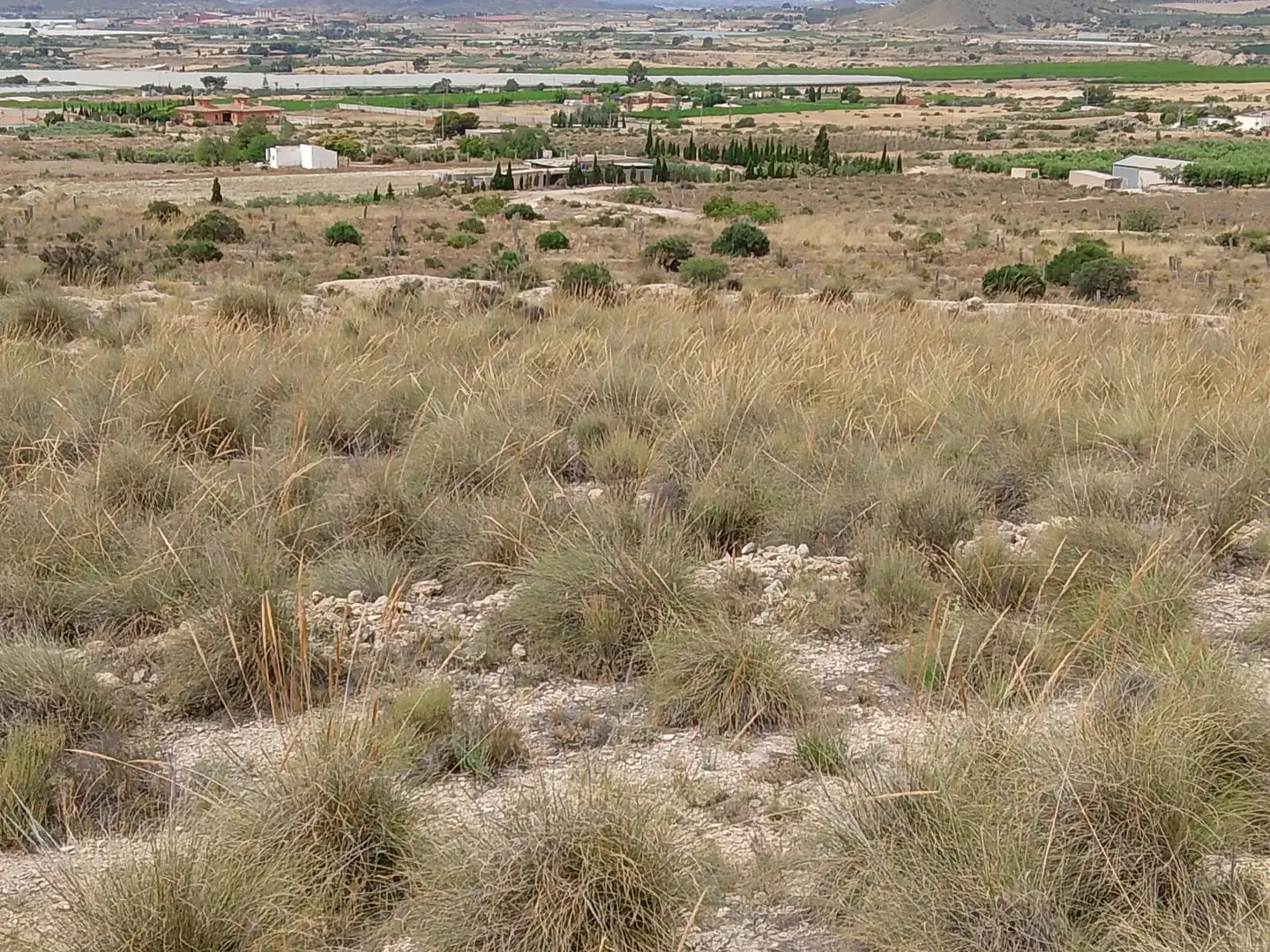 Terreny rústic en venda a Partida Rochet, imagen 16