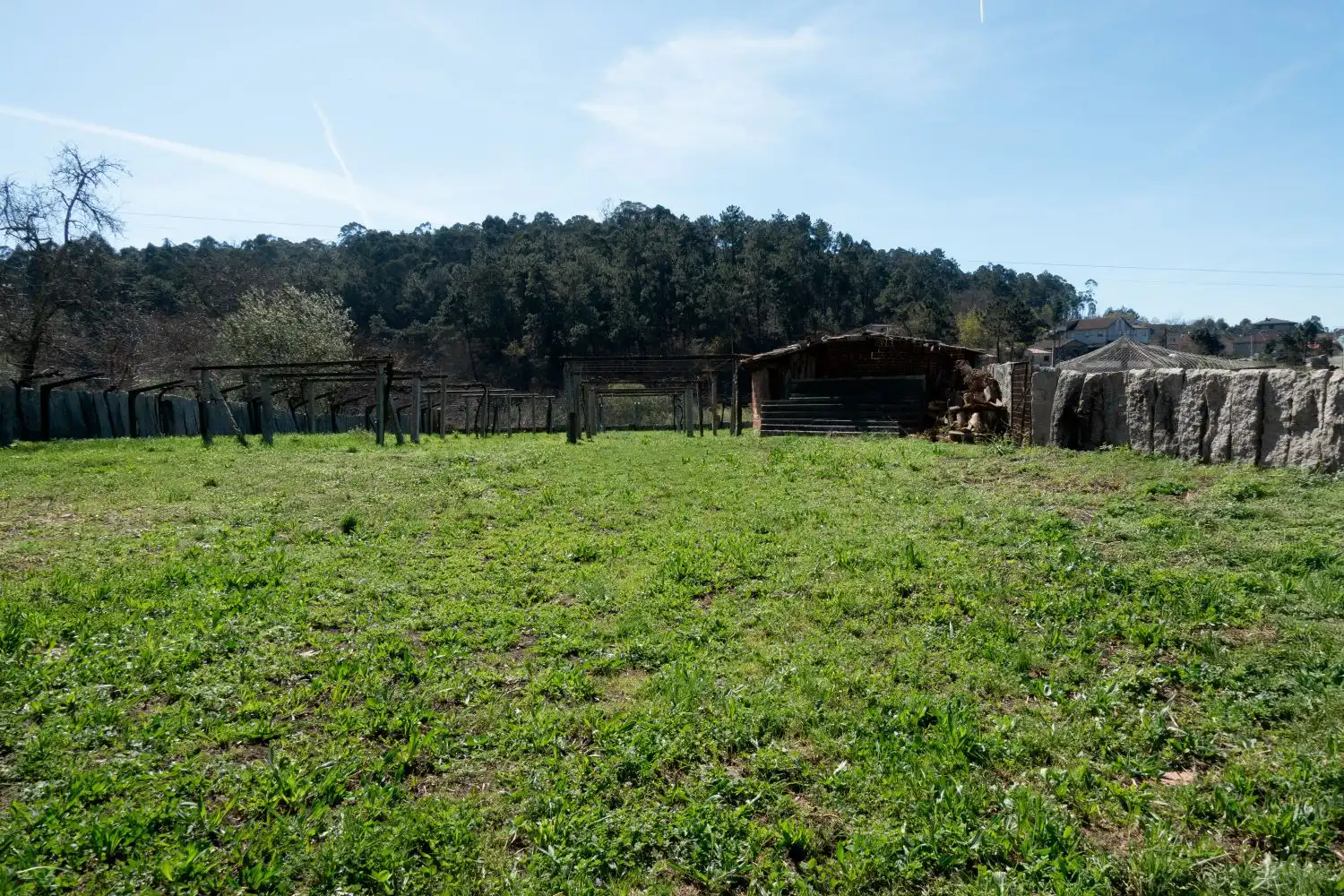Detached house for sale in Salceda de Caselas, imagen 28