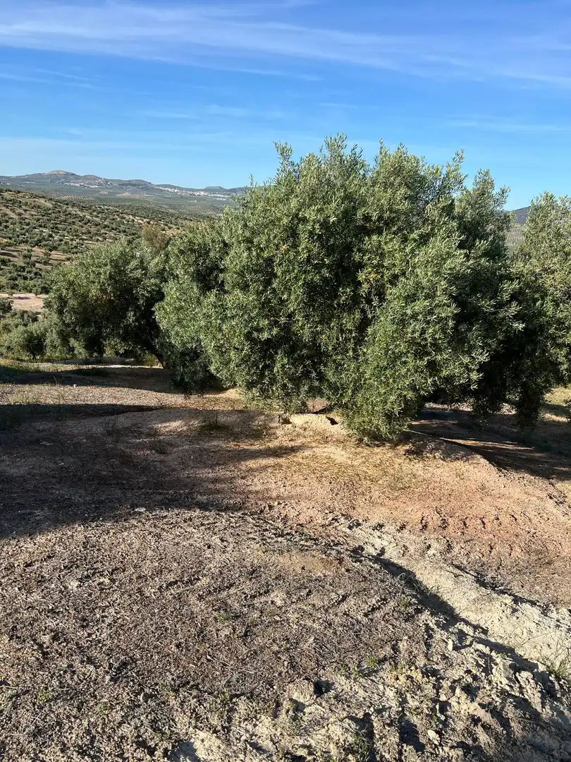 Terrenys i solars en venda a Fuente-Tójar, imagen 2