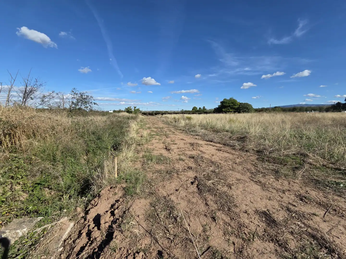 Terrain rustique à vendre à Alberite, imagen 4