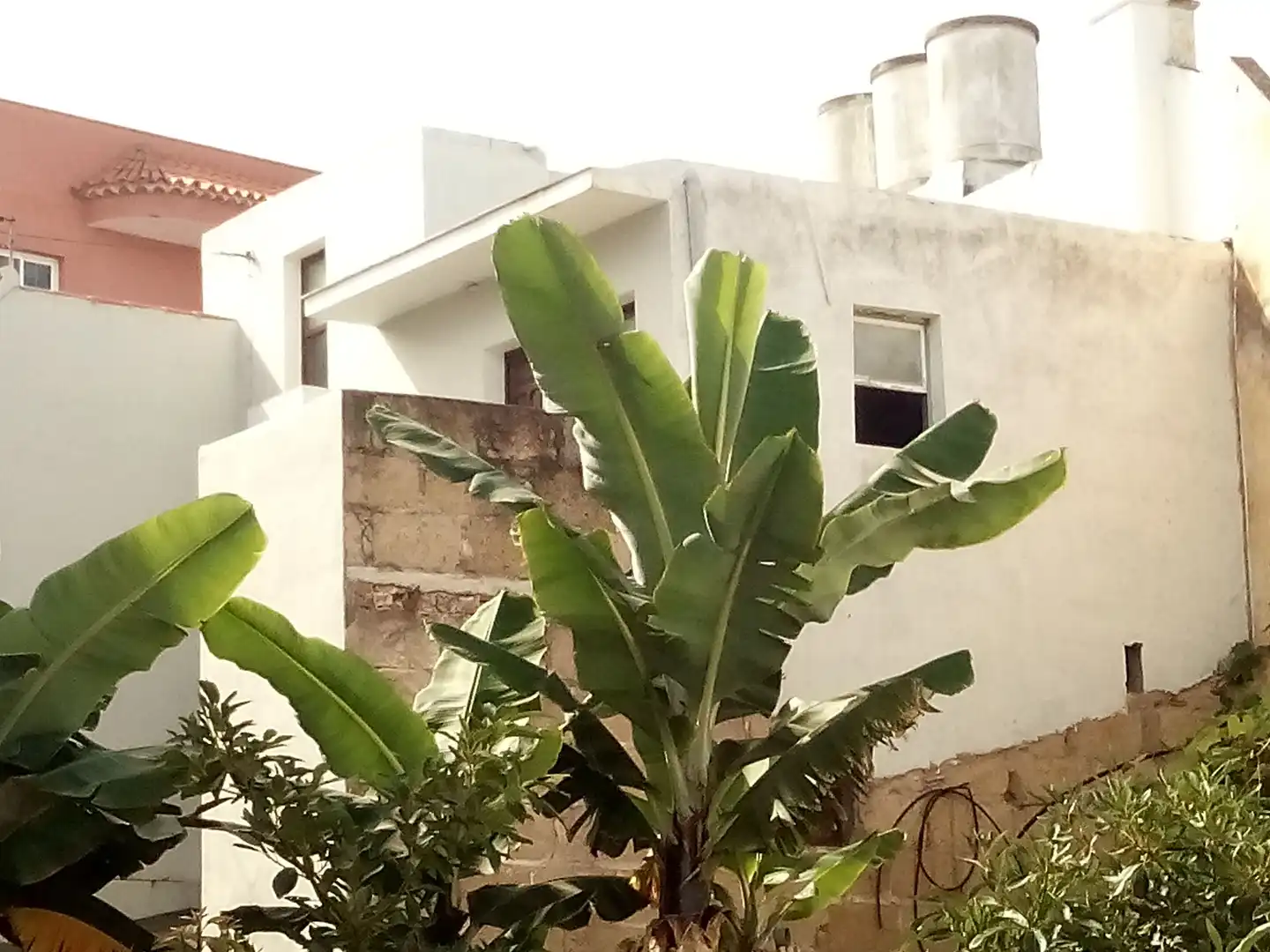Exterior view of Houses for sale in Los Realejos  with Private garden, Terrace and Storage room