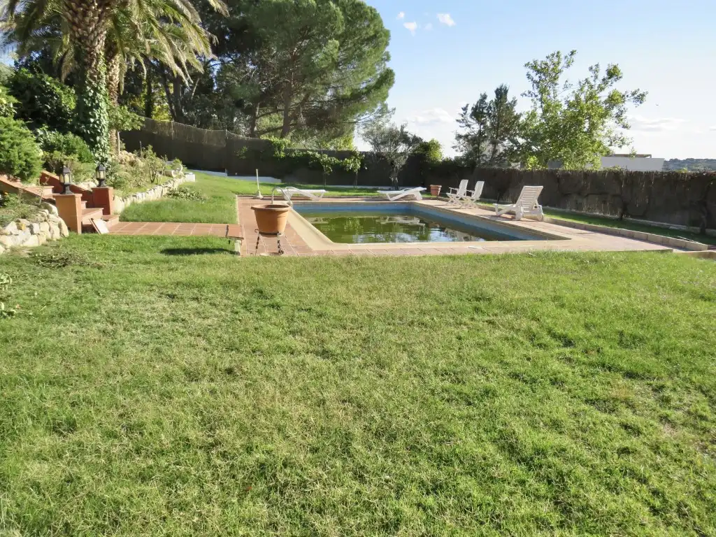 Swimming pool of Houses for sale in Algete