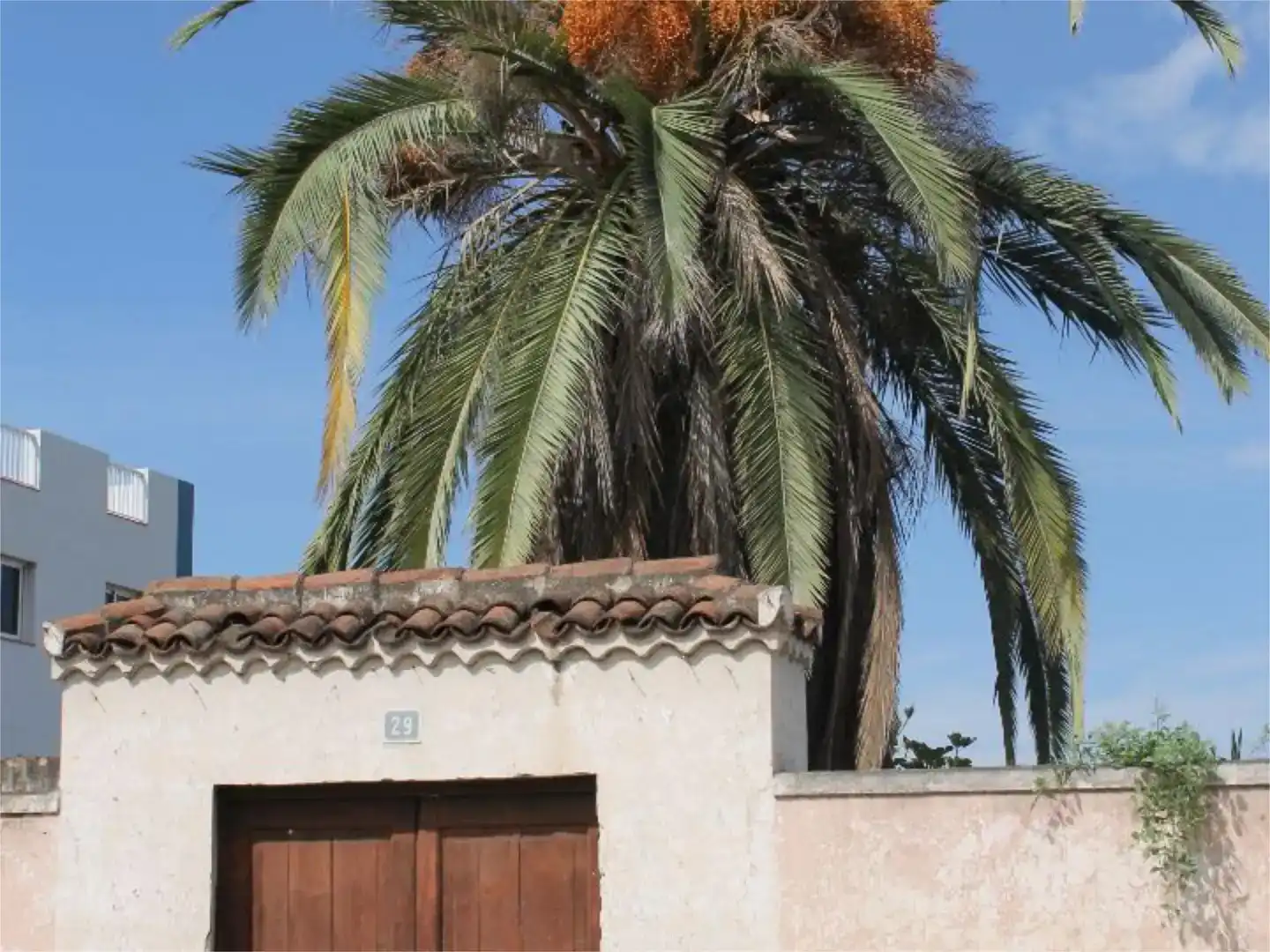 Vista exterior de Casa o chalet en venta en La Orotava