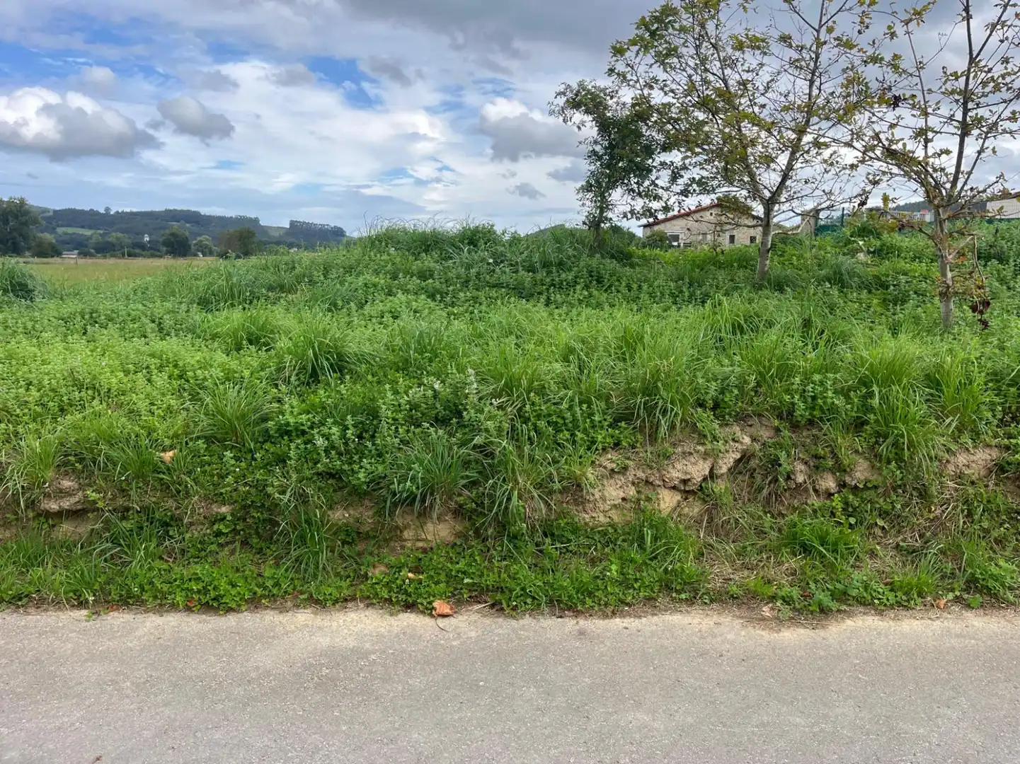 Land for sale in Solórzano