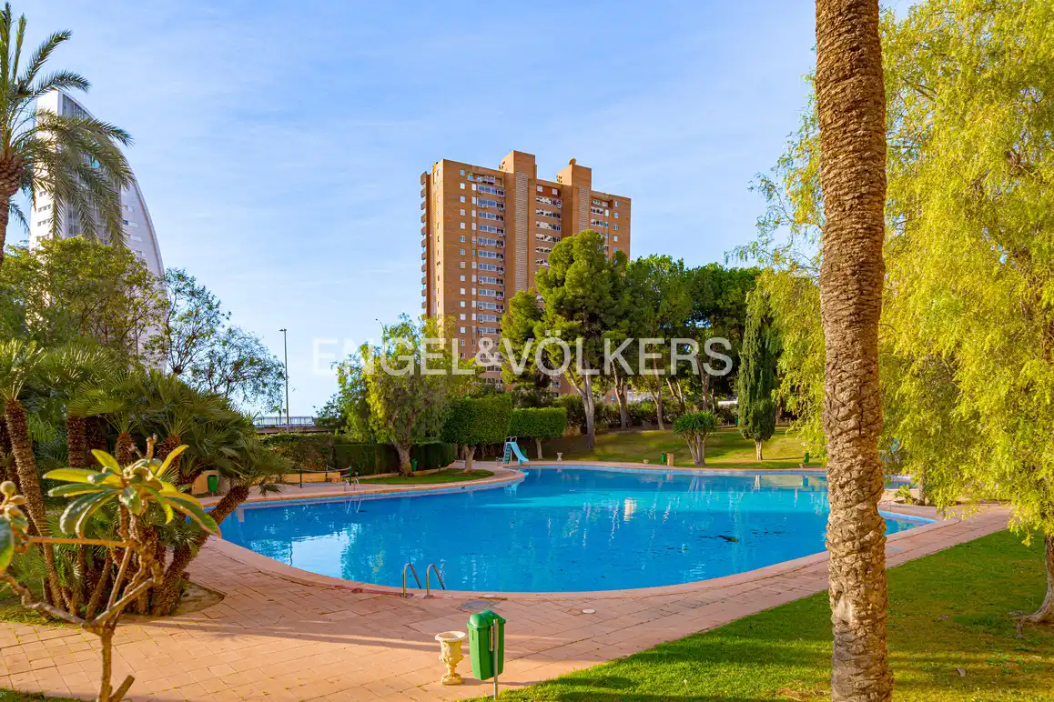 Wohnung mit Pool zur Miete in Avinguda Marina Baixa 1, imagen 31