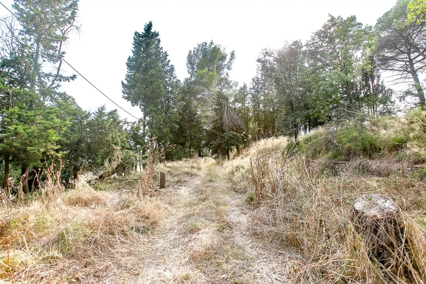 Finca rústica en venda en Cardedeu
