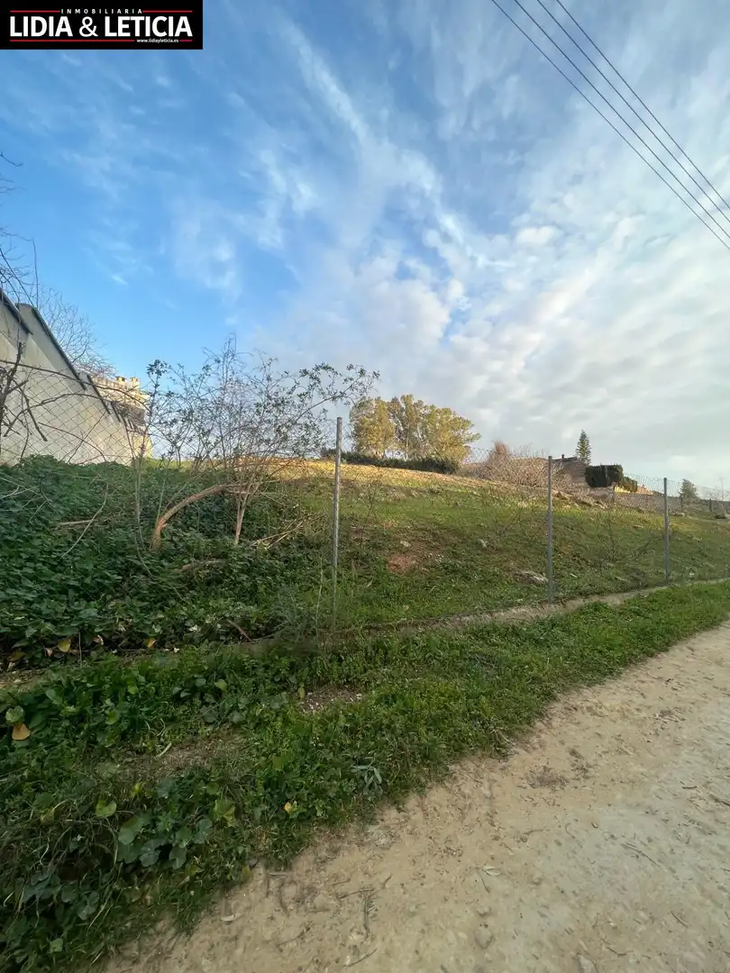 Rural land for sale in Nueva Alcalá, imagen 5