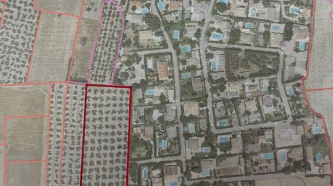 SE VENDE PARCELA 9.000M2 EN URBANIZACIÓN BÉTULA, immagine 2