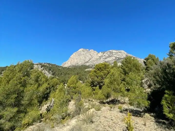 Rural land for sale in Finestrat Pueblo, imagen 7