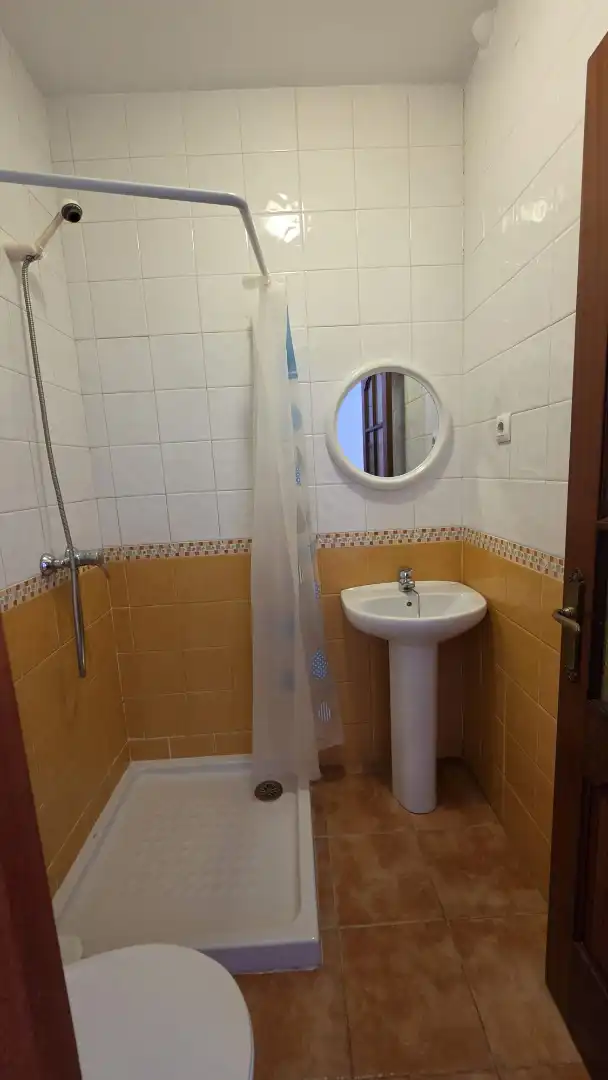 Baño de Estudio de alquiler en Málaga con Amueblado y Lavadora