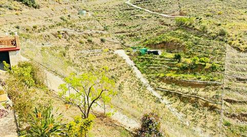 Foto 5 de Finca rústica en venda a Torrox Pueblo, Torrox