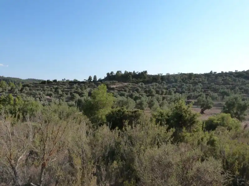 Finca rústica en venta en Calaceite