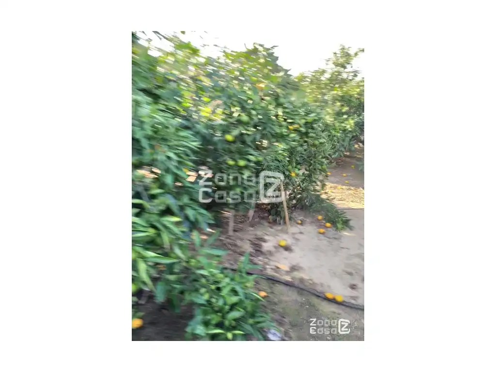Country house for sale in Algemesí, imagen 4