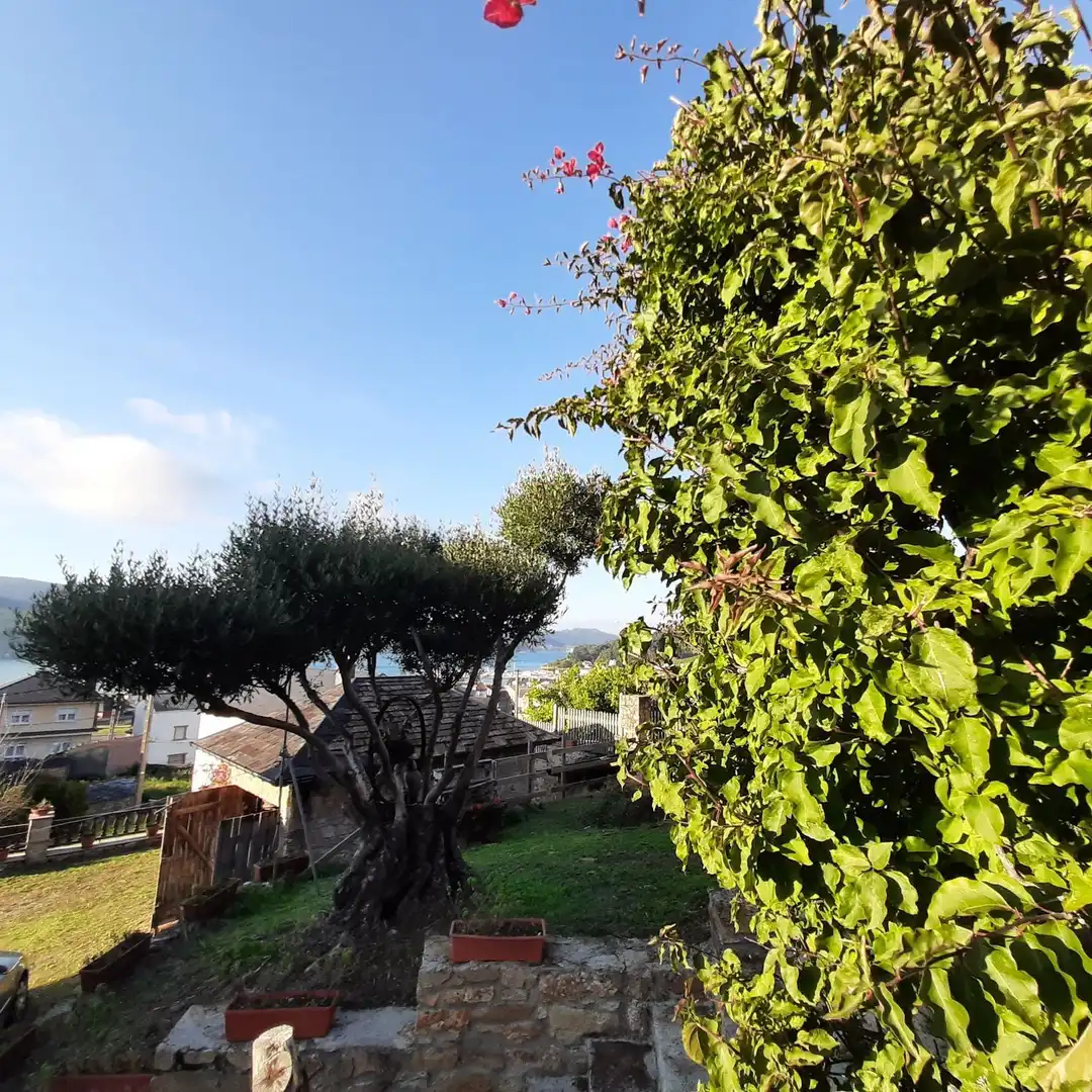 Xalet amb jardí en venda a Calle Doutor Llisterri 37, imagen 31